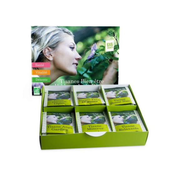 Coffret Tisanes Hildegarde - 6 x 6 sachets - Aromandise
