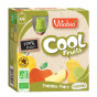 Cool Fruits - Pomme Poire - Lot de 4 Gourdes